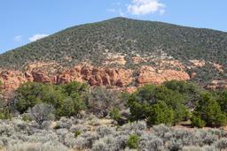 The anthill [sun aug 31 10:37:47 mdt 2025]